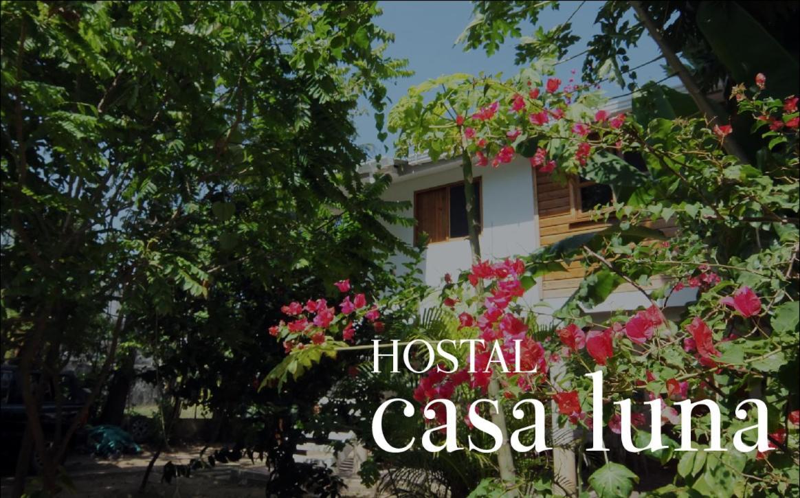 San Andrés 圣安德烈斯卡萨露娜旅馆酒店 外观 照片