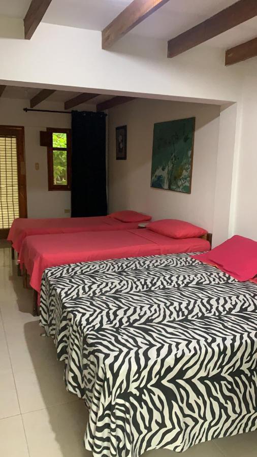 San Andrés 圣安德烈斯卡萨露娜旅馆酒店 外观 照片