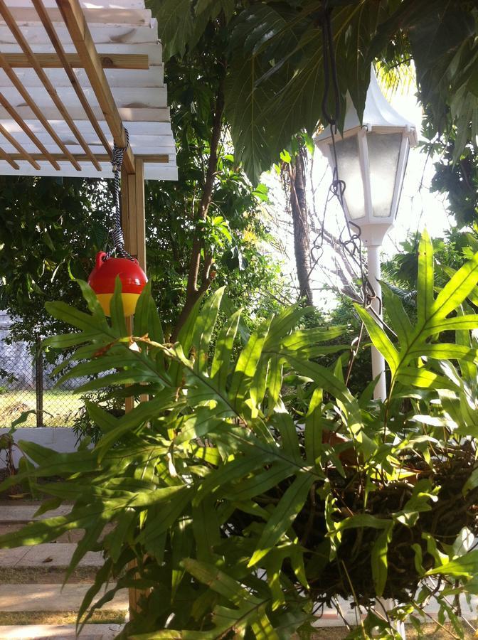 San Andrés 圣安德烈斯卡萨露娜旅馆酒店 外观 照片